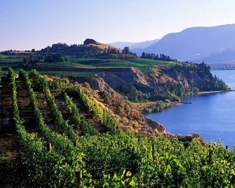 Copper Oasis - West Kelowna - Außenansicht