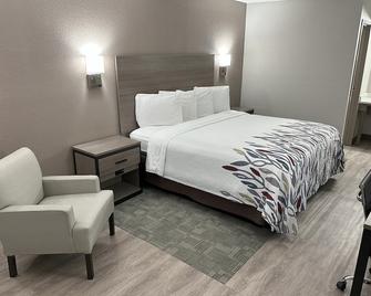 Red Roof Inn Ann Arbor - U of Michigan South - Ann Arbor - Bedroom