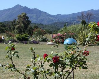 Rico Plage - Santa-Lucia-di-Moriani - Außenansicht