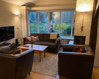 Holiday Home in Haaksbergen by Lake - Haaksbergen - Wohnzimmer