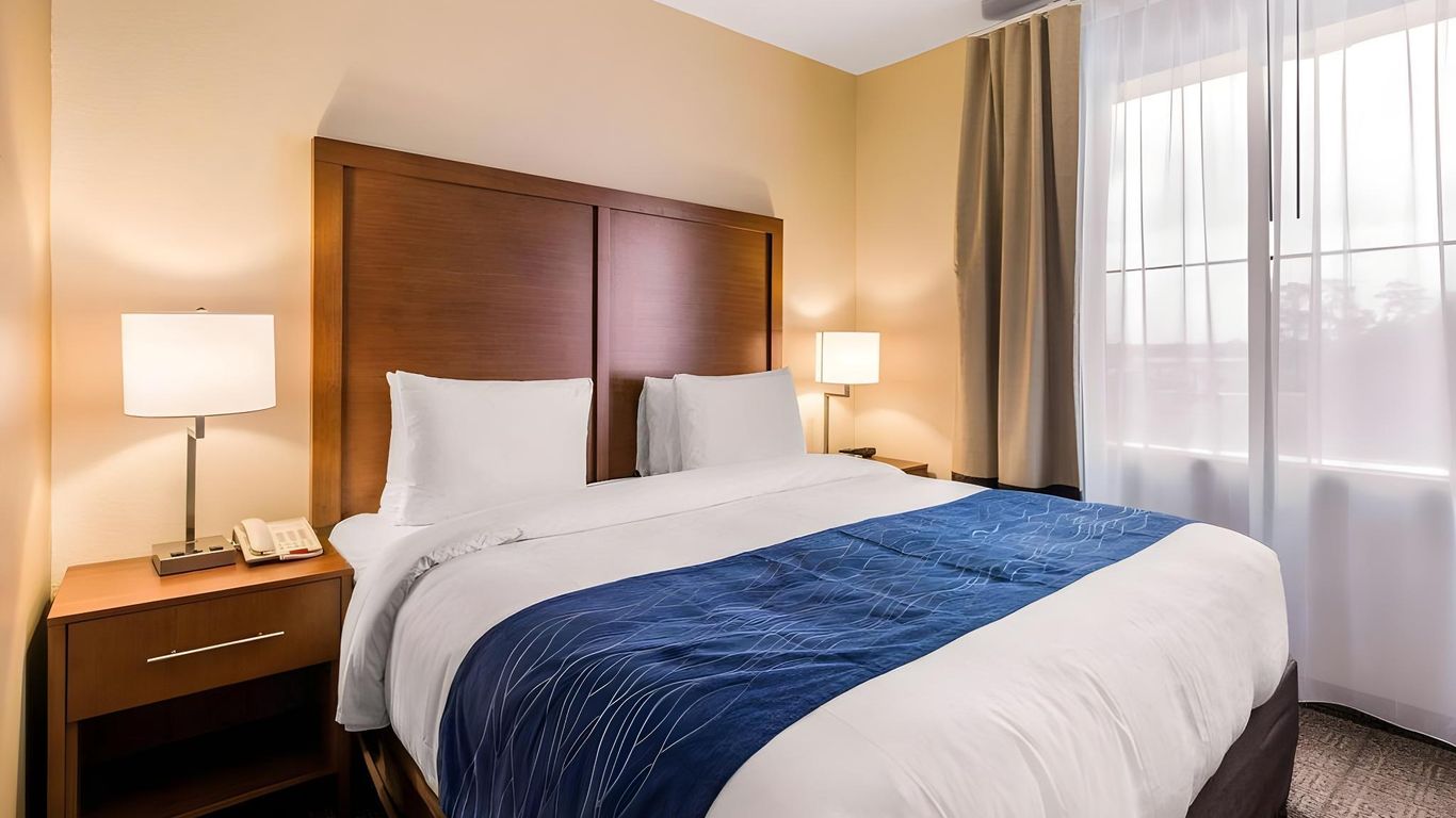 Comfort Inn & Suites Iah Bush Airport - East