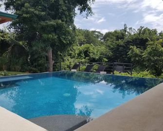 New Hill top Home with a Beautiful Tropical View - Nosara - Piscina