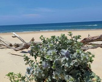 Beautiful Landes house park and tennis near ocean - Léon - Playa