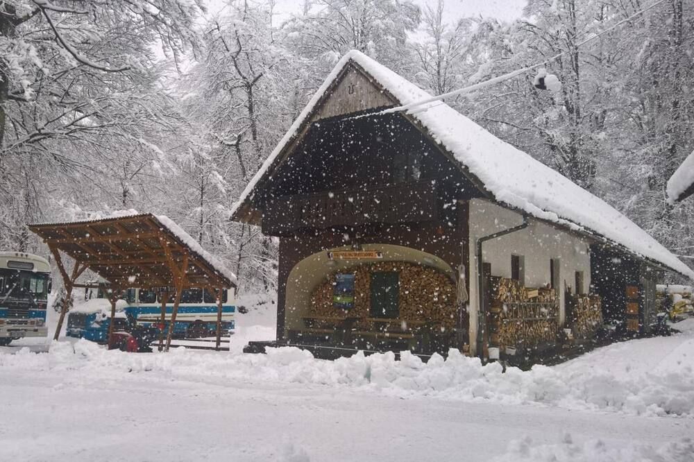 هوستل بود فوجلوم