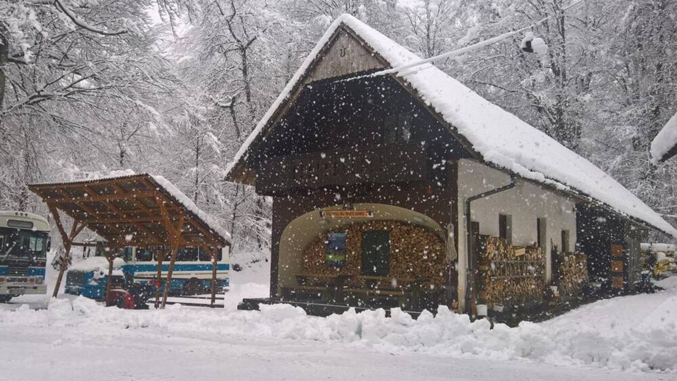 هوستل بود فوجلوم