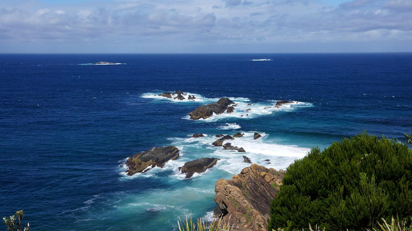 Bellbirdhill Bed & Breakfast