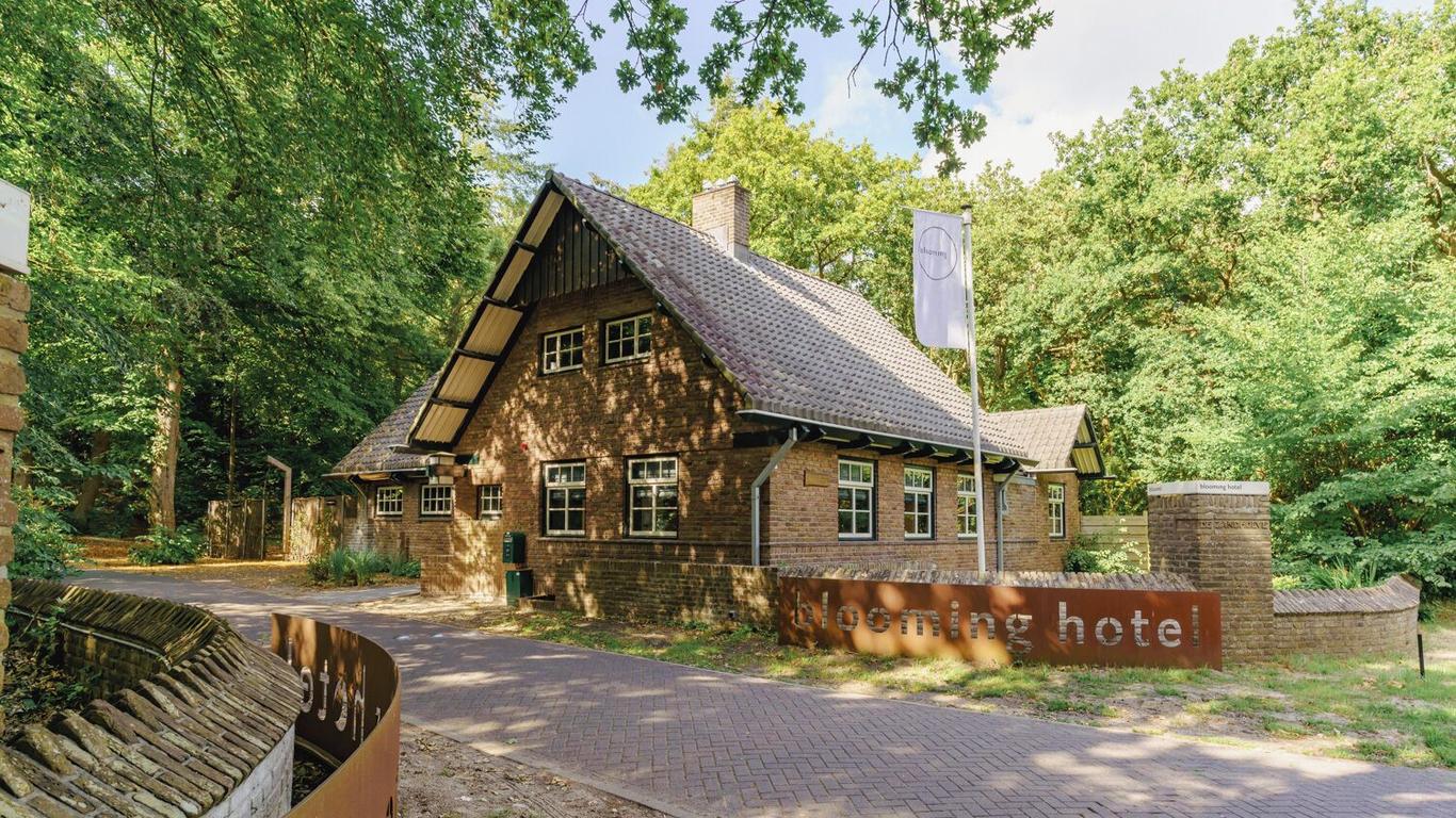 بلومينج هوتل