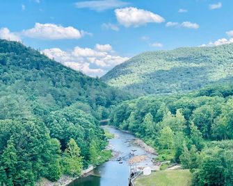 Peaceful Wilderness Cabin with Private Streamside Setting Near Townshend, Vermont - West Townshend - Outdoors view