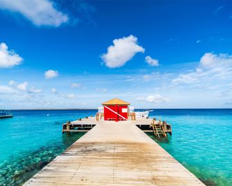 Habitat Bonaire - Hato - Tesis olanığı