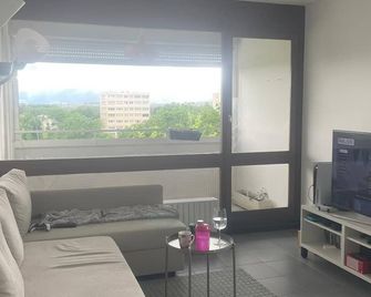 Spacious apartment near the UN - Ferney-Voltaire - Living room