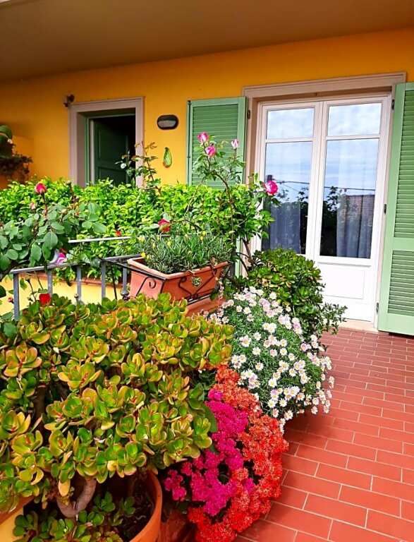 Casa Marta thumbnail 3