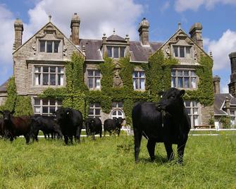 Cherry Courtyard Apartment at Blessingbourne Country Estate - Fivemiletown - Edificio