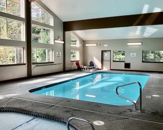 Mt Spokane updated Ski Condo WiFi, Pool & Hot Tub~sleeps 4~hike, bike, explore - Blanchard - Pool