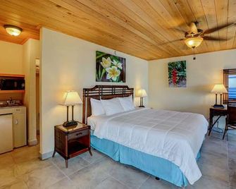 Holger Danske Hotel - Christiansted - Habitación