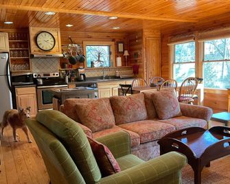 The Cozy Cabin In Black Mountain - Black Mountain - Living room