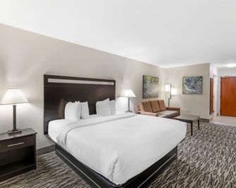 Best Western Plus McDonough Inn & Suites - McDonough - Habitación