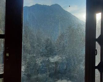 Divine Connection Guest House Kasol- Pet Friendly - Kasol