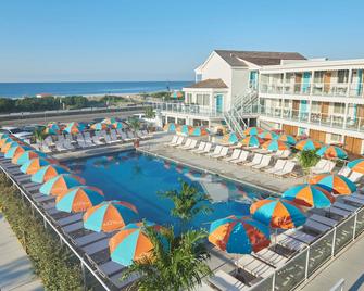 Beach Shack - קייפ מיי - בריכה