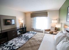 Sleep Inn & Suites & Conference Center - Гарден-Сити - Спальня