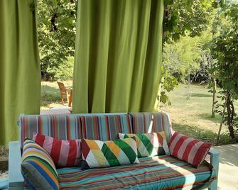1000m2 garden shed by the river in the village of Barjols - Barjols - Patio