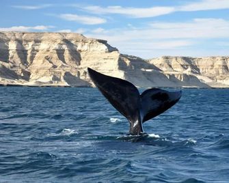 Hotel Territorio - Puerto Madryn