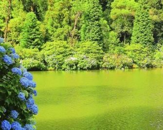 Pousada Vista Do Lago - Gramado - Outdoor view
