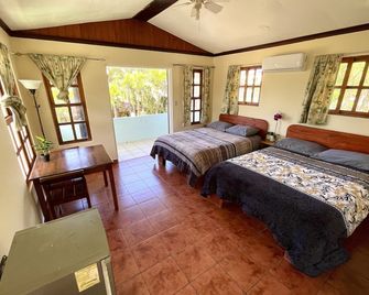 Brisa Del Mar - Playa Hermosa - Habitación