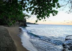 La Vue - Anse La Raye - Beach