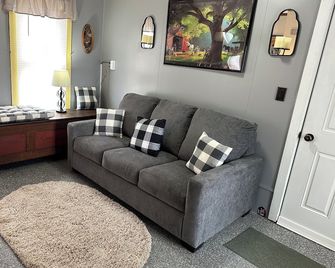 Spacious 5-bedroom house with WiFi, AC in lovely Selinsgrove - Selinsgrove - Huiskamer