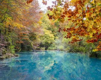 El Rincón de Lokiz. Disfruta Navarra al natural - Galdeano - Piscina