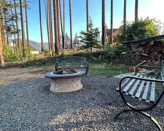 2 Bedroom / 2 Bath Cabin with Lots of Parking for Boat, Snow Mobile and ATV's - Detroit - Patio