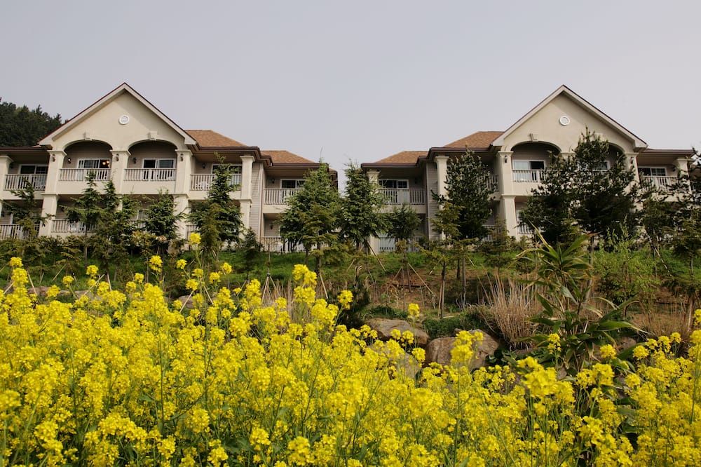Daea Ulleung Resort