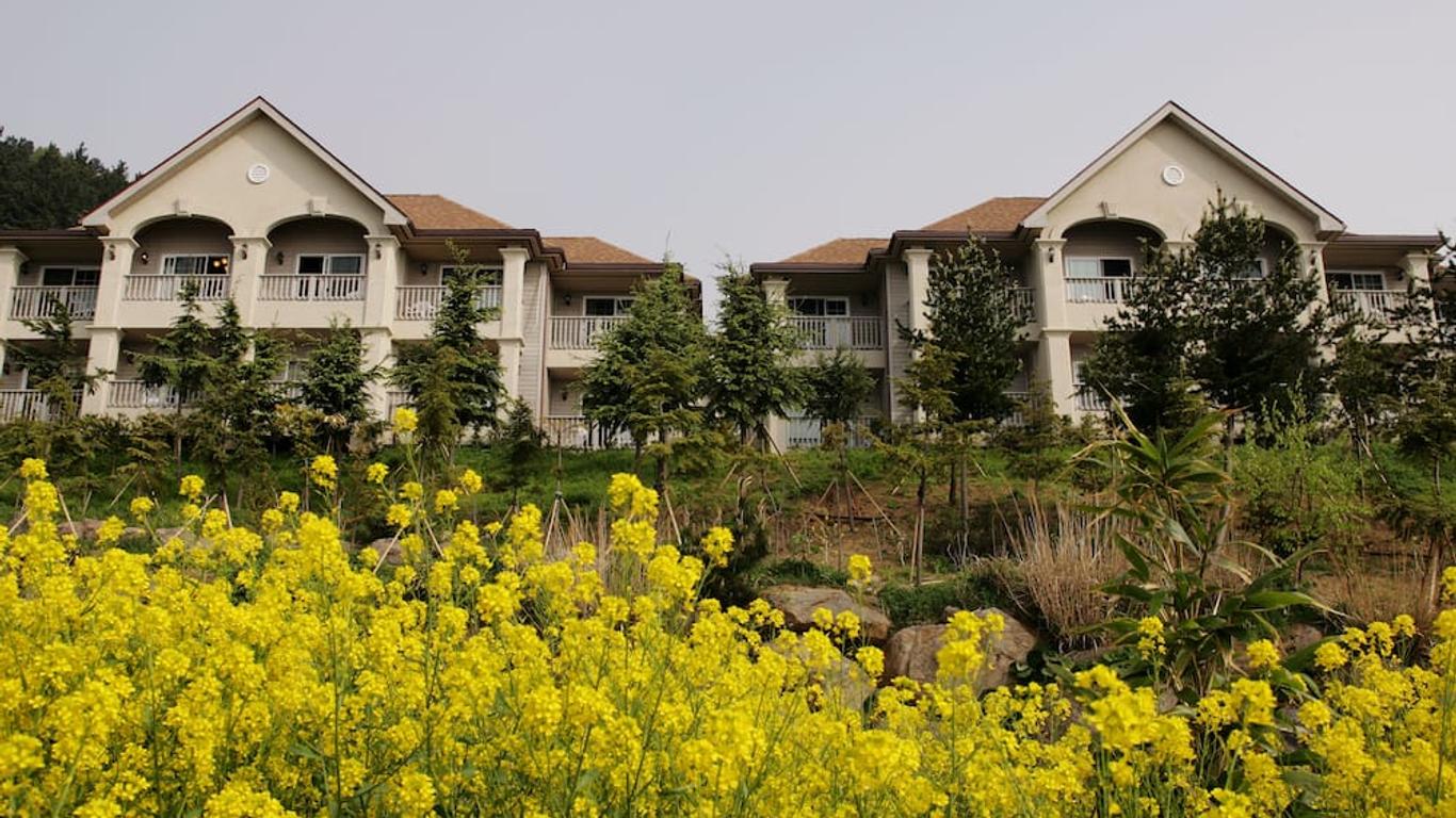 Daea Ulleung Resort