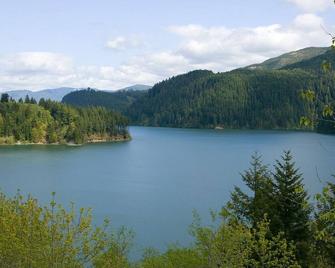 Lakewood Retreat: Peaceful, Relaxing, Secluded, With Hiking, Lakes, and Hot Tub! - Amboy - Outdoors view