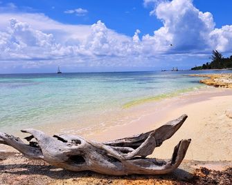 Casita del Arco El Cedral Cozumel - Cozumel - Beach