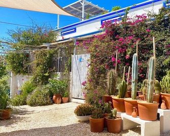 Chill Out And Relax In True Portuguese Style - Faro - Patio