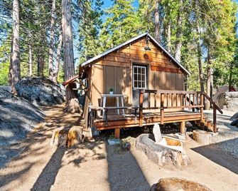 Raccoons Hallow is a cute studio apartment centrally located in the heart of Shaver Lake - Shaver Lake