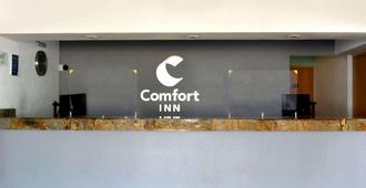 Comfort Inn Puerto Vallarta - Puerto Vallarta