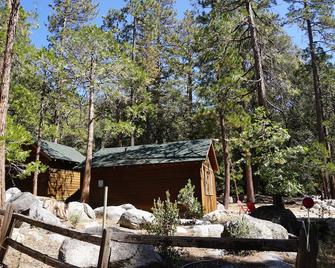 Indian Rock Rustic Studio Cabin Near Hiking Trails - Idyllwild - Outdoors view
