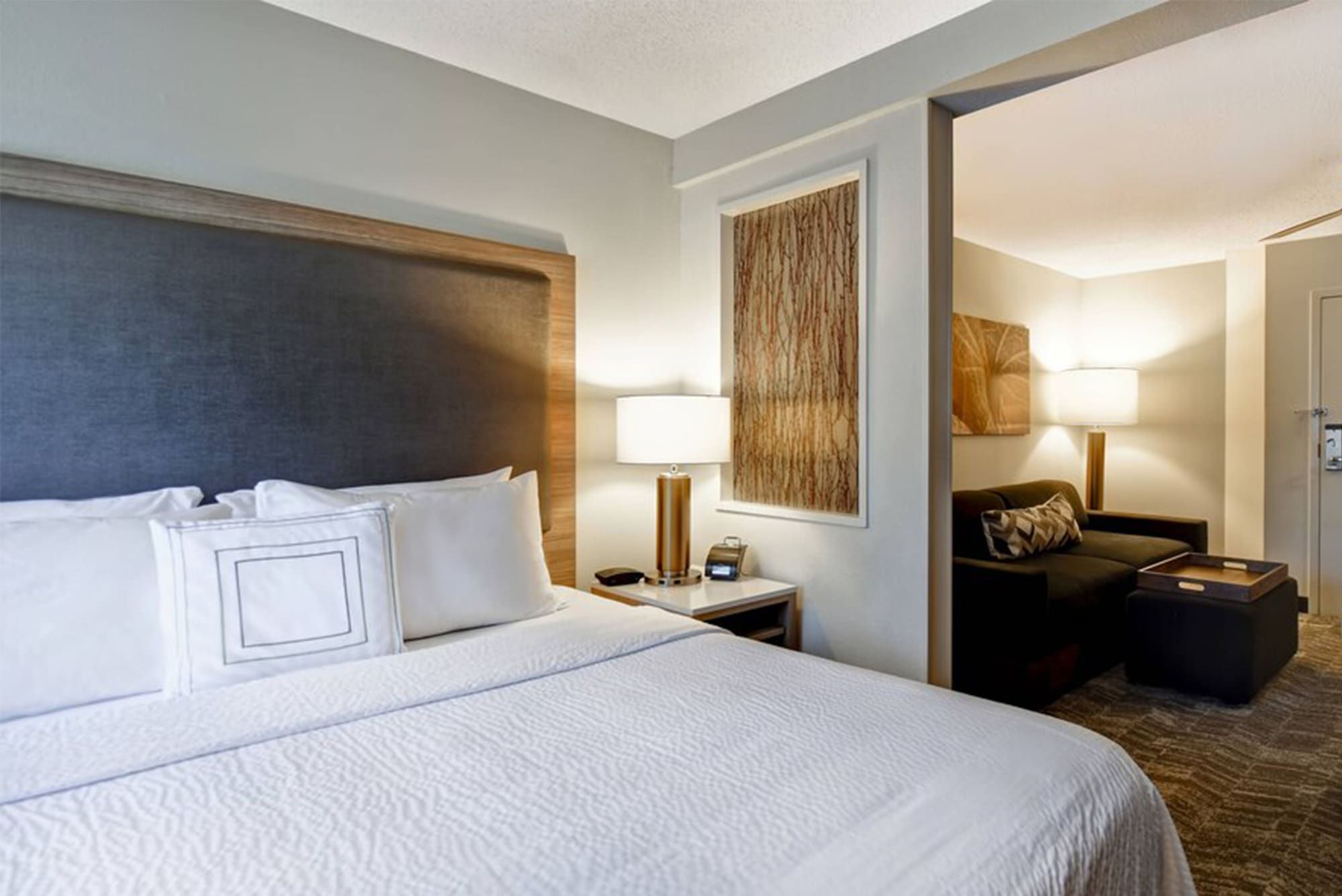 SpringHill Suites by Marriott Atlanta Kennesaw - קנסו - חדר שינה