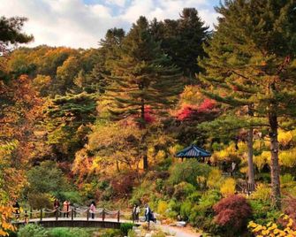 Elysian Gangchon Resort - Chuncheon - Vista del exterior