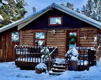 Private Cabin and Hot Tub in the Woods - Carbondale