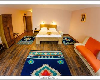 Conacul Domnesc - Suceava