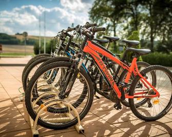 Doslonce Resort Wellness & Farm - Racławice (Miechów) - Udogodnienia obiektu