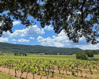 Quiet and isolated house in the heart of the vineyards in Provence - Carcès - Extérieur