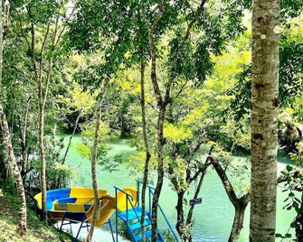 Oasis The Traveler - Lanquín