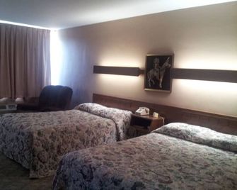 Indian Head Motel - Winamac - Bedroom