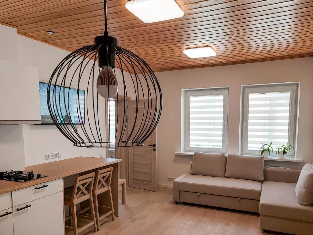 Irenos Svetaine - פאלנגה - סלון