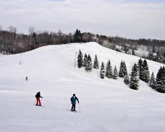 Best location at Otsego Resort! Ski in, ski out valley view! - Gaylord - Property amenity