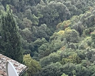 Torre antica suite - Campagnano di Roma - Vista del exterior